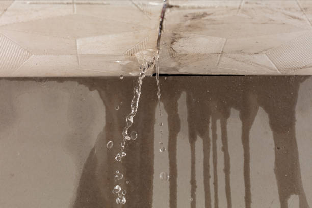 Professional Water Extraction technician working in Wesson, MS